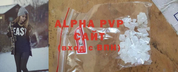 индика Карпинск
