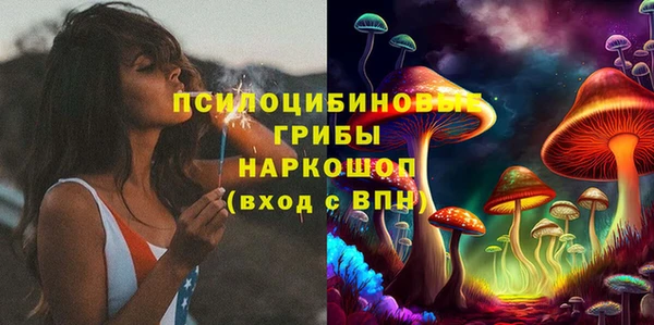 СК Надым