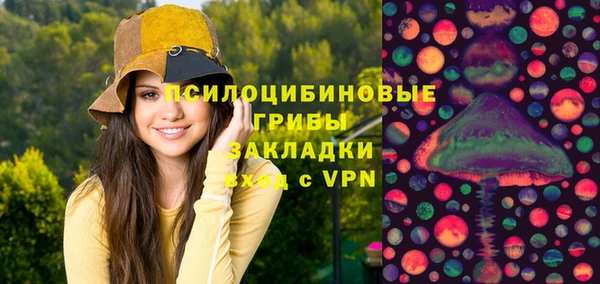 прущая мука Михайлов