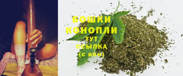 сатива Михайловск