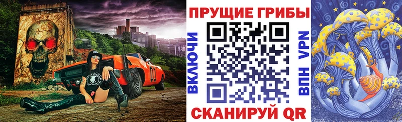Галлюциногенные грибы MAGIC MUSHROOMS  где купить наркотик  Курильск 
