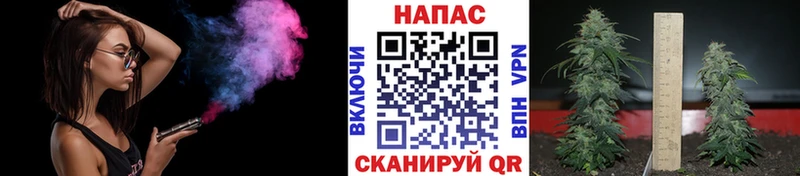 маркетплейс состав  Курильск  Бошки Шишки OG Kush 
